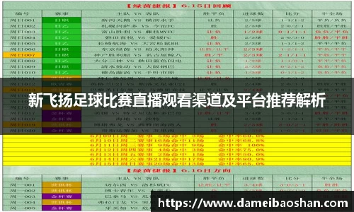 新飞扬足球比赛直播观看渠道及平台推荐解析