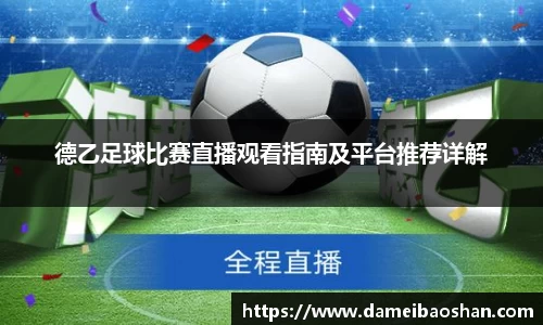 德乙足球比赛直播观看指南及平台推荐详解