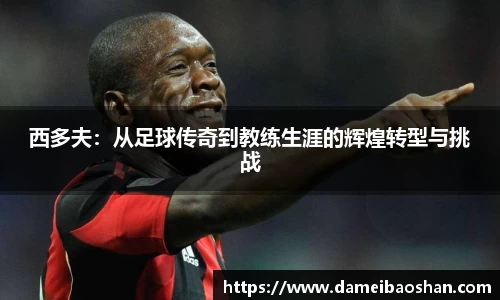 西多夫:从足球传奇到教练生涯的辉煌转型与挑战
