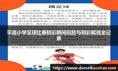 平高小学足球比赛精彩瞬间回放与精彩解说全记录